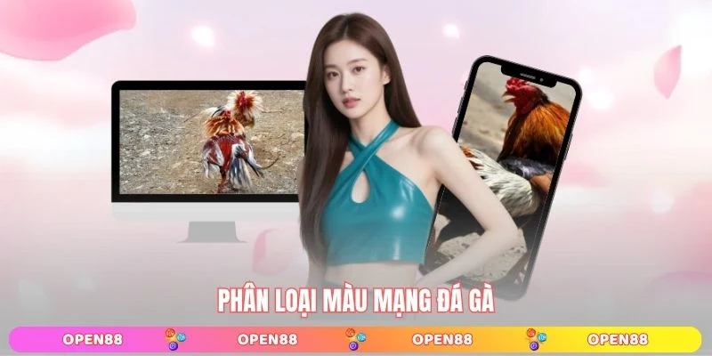 Phân loại màu mạng đá gà