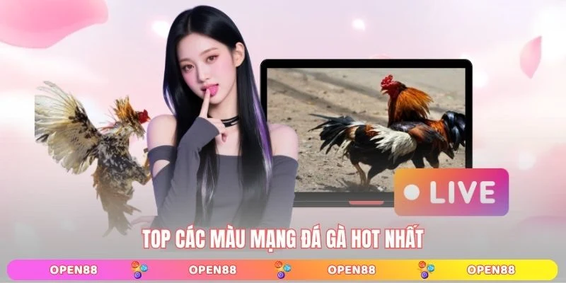Top các màu mạng đá gà hot nhất